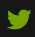 social-media
